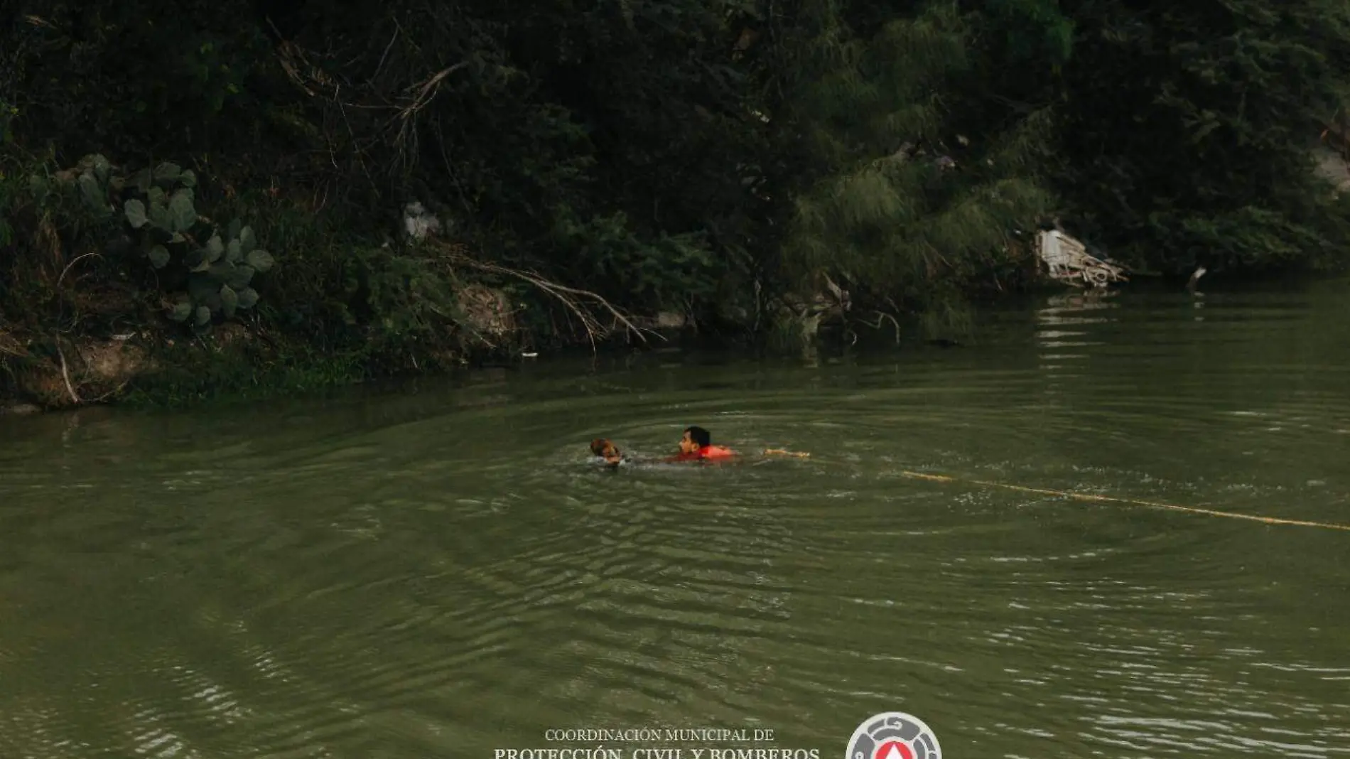 Sin importar el frío, un elemento se lanzó al agua